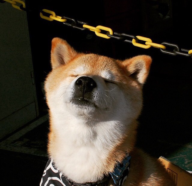 多特蒙德带走新西兰，当足球版图重绘，梅西再成关键先生