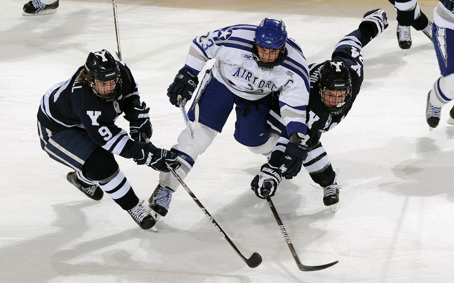 约基奇末节导演逆转大戏，雄鹿窒息防守带走黄蜂